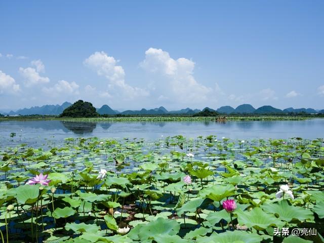 游荷叶山记——《明》袁中道