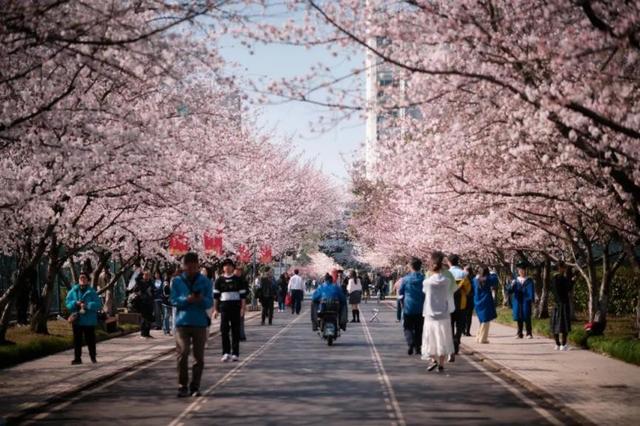 国庆去哪玩？上海成“热门选择”，这所大学值得打卡！
