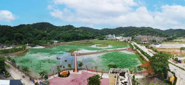 “童趣潮韵·非遗+农文探索之旅”入选广东省儿童友好精品线路