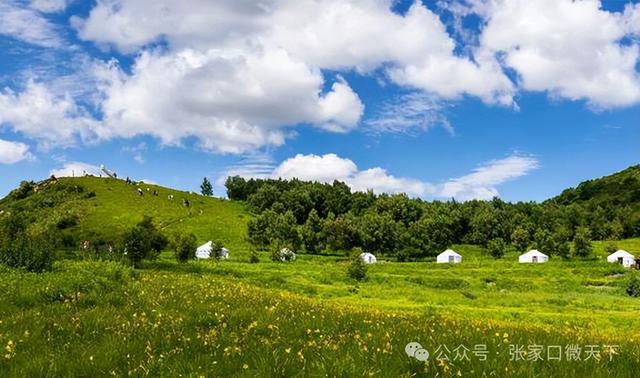张家口最牛的县城是怀来县吗