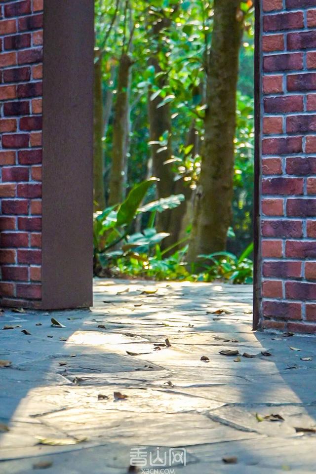 珠海5000年沙丘遗址秘境，免费开放！