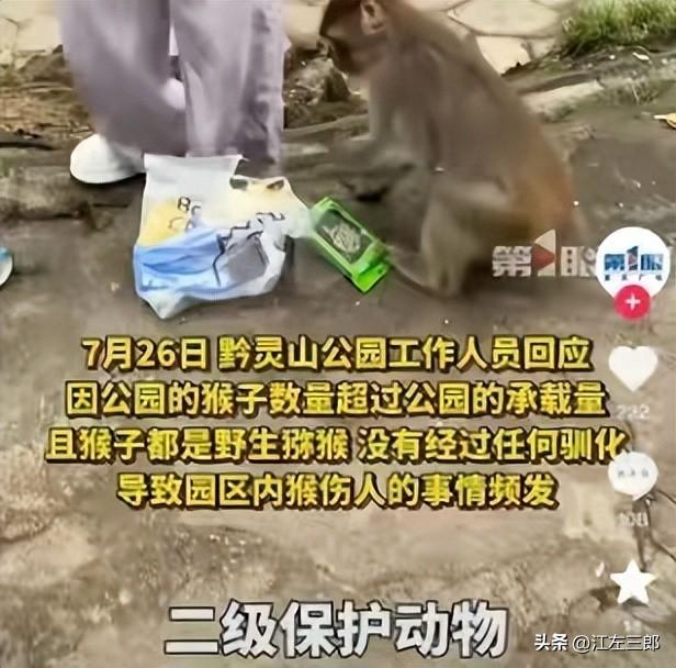 江苏男子扬言打老人后续：南京文旅做出回应，身份被扒全网社死