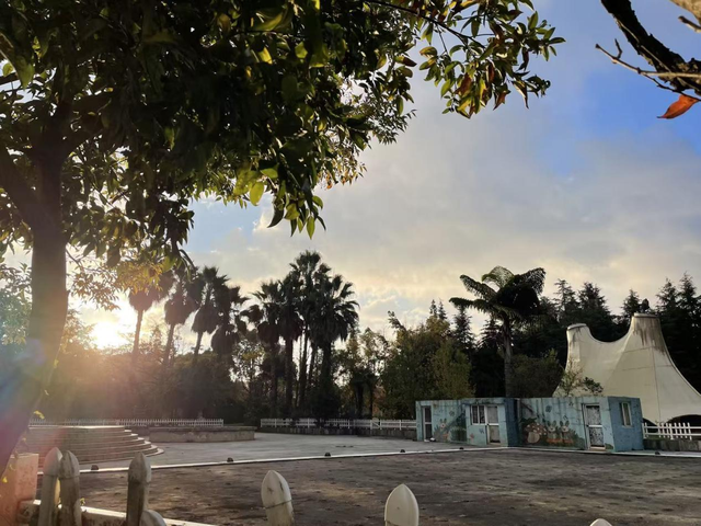 游历雅记：春之城 花之都 初冬游昆明