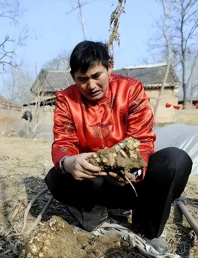 不再容忍！被传"跳楼身亡"的大衣哥，这一次终于不再选择沉默