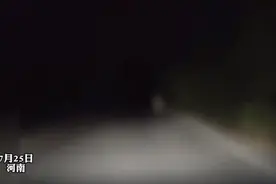 胆大！河南男子凌晨钓鱼回家，偶遇白裙诡影飘动，他还返回询问图片