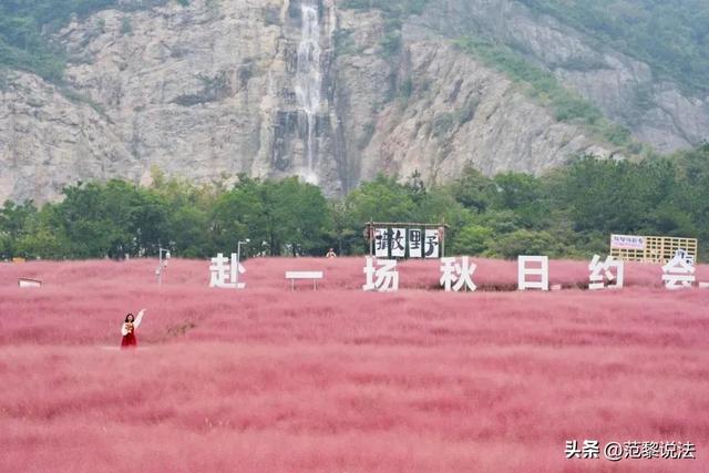 南京秋景别只挤栖霞山！本地人私藏5处免费秘境，现在去正好