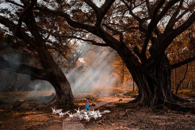 福建人私藏的红叶地图流出！这5个秘境让摄影师疯狂