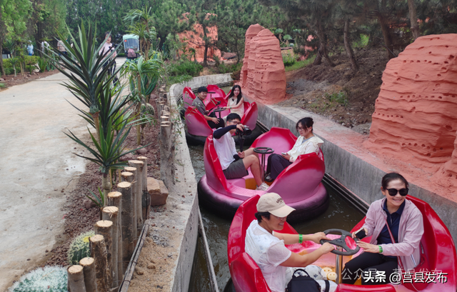 莒县文旅再焕新！浮来青“茶山牧场”开门迎客！