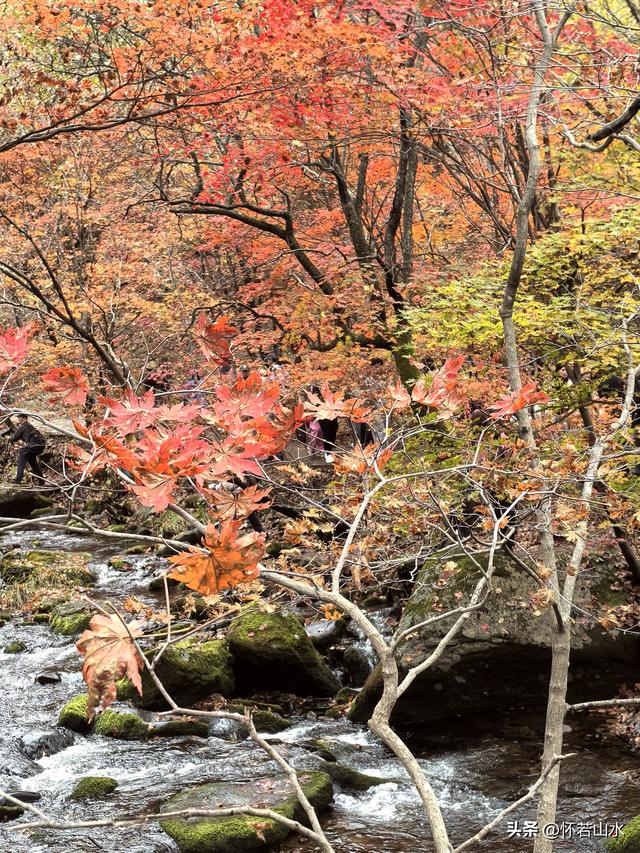 2025辽宁赏秋之旅日记(3)——游览洋湖沟和老边沟