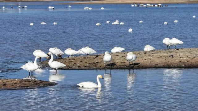 不能拒绝内蒙古的理由来了