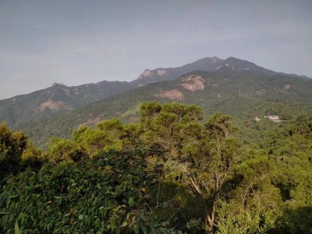 又来广东之一百 惠州篇之十一 罗浮山（4）