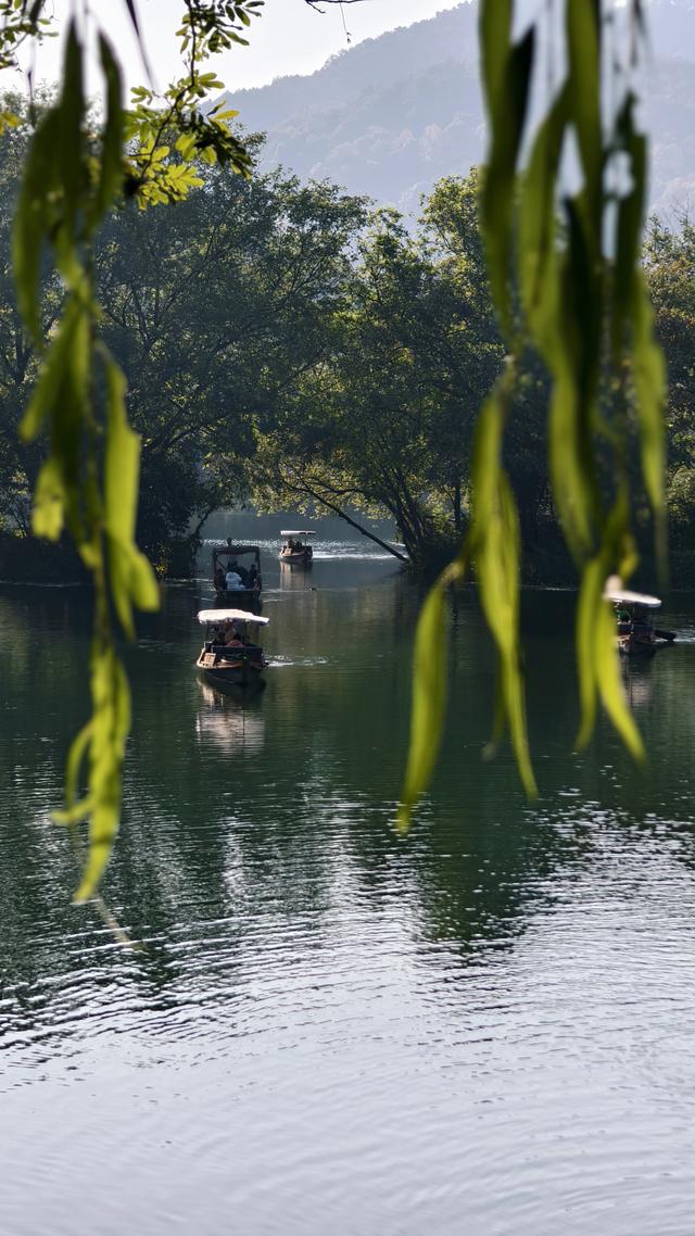 杭州秋日秘境：太子湾与浴鹄湾的红枫水墨画