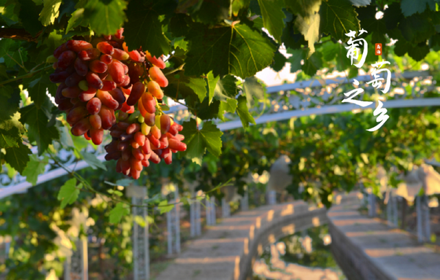 倒计时预警！包银高铁开通即封神，7城组队搞大事！