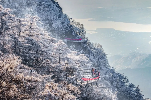 临沂，你真的好风光！！