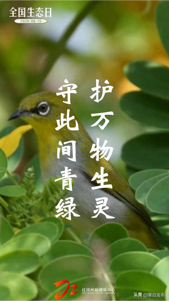 全国生态日｜“绿”满红河！每一幅都可以做你的屏保💚