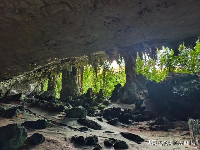 马来西亚(32)砂拉越州⑥世界遗产尼亚洞窟探险
