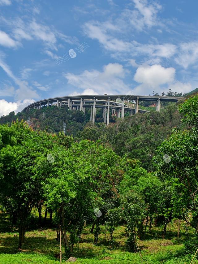 打卡云南高原明珠——美丽的抚仙湖