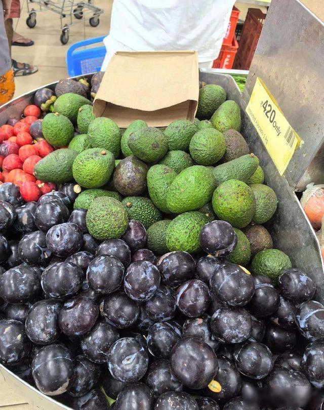 尼帕病毒来袭，上海机场全面拉响警报	，七天封闭防控真能守住国门