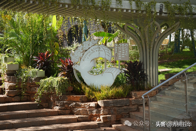 在翠湖与老街之间，生长出的昆明慢生活样本