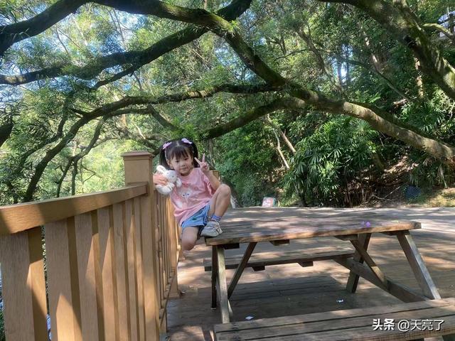 远离补习班，奔向山野间：我们用一身泥土，换回一个“开挂”的娃