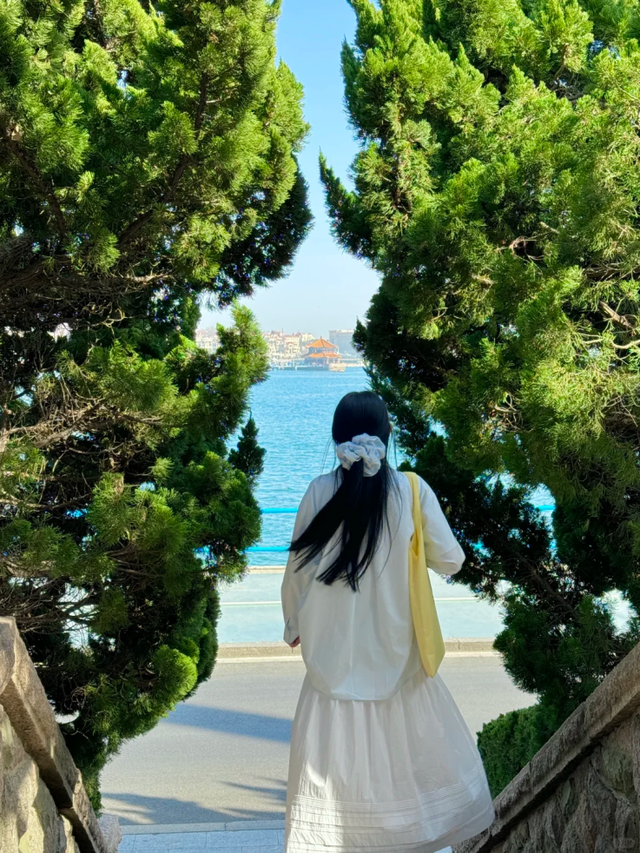 一社一景丨走进西镇社区，倾听从日出到星光的山海交响