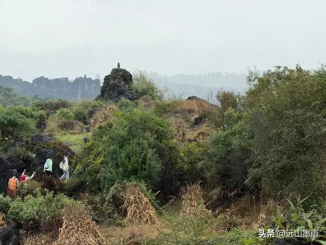 徒步石林蓑衣山、赏水上石林,遇降雨淅淅沥沥,收获特别的体验