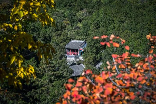 现在，香山“秋日皮肤”已加载85%！来查收