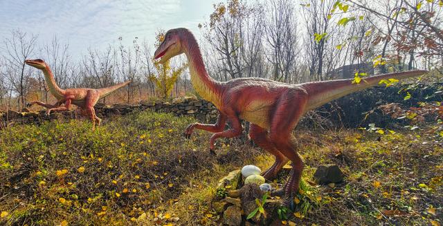 泗水县万紫千红旅游区：静谧而斑斓的生态画卷