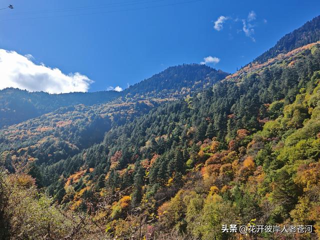 米亚罗彩林季，观赏一日游！