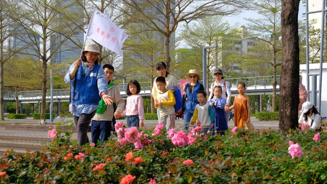 2026深圳国际月季文化年，精彩不打烊！