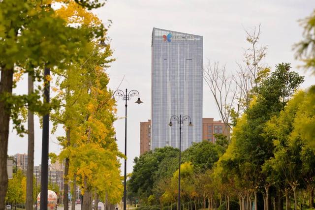 太美了！金堂这些地方值得一去