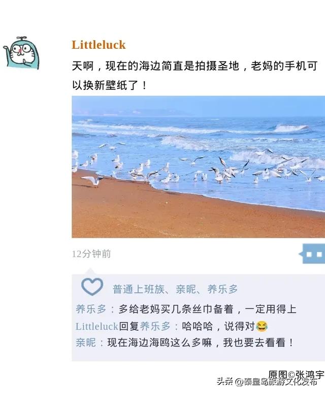 初冬,秦皇岛进入“高光时刻”!最美景致就藏在朋友圈里~