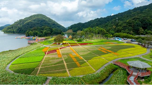 秋天游从化温泉，康养+赏景的双重盛宴等你来！