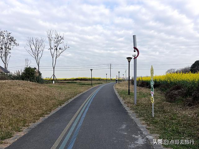 成都城区最大的油菜花田，2000亩铺天盖地般壮美，视觉非常震撼！