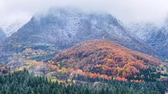2025周至雪落！秦岭福地藏着水墨般的冬日浪漫～
