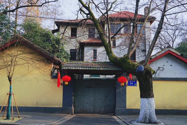 石象路银杏黄了！秋日南京必走的几条经典路线