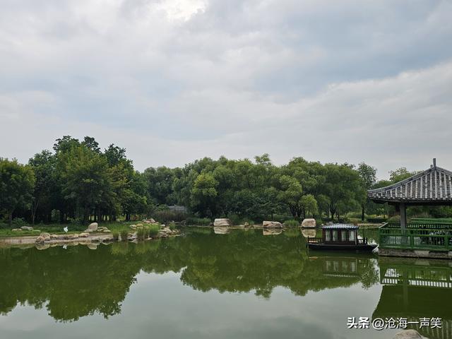 苑城文化公园，桥水相依，荷叶飘香，大道至简，银杏叶子渐黄