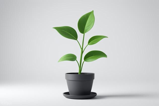 祭奠程序员，告别拼命时代：年轻人能否不再疲于奔命？