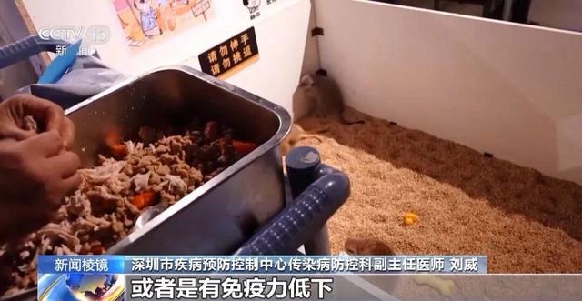 北京一男子养五步蛇当宠物，因蛇生病无法进食	，手动喂食时被咬致截肢