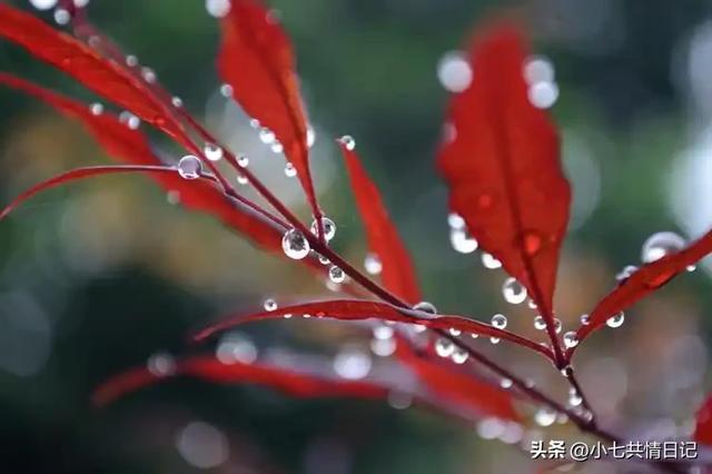 让你瞬间释怀的走心文案，建议永久收藏。