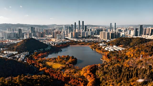 丹枫醉染云间岫，银杏金铺滇海秋 —— 昆明清秋觅胜长歌