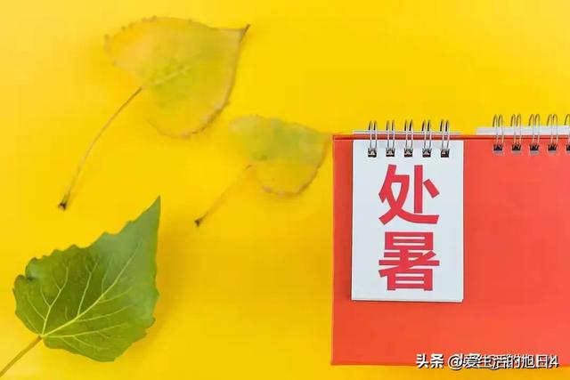 今日“处暑”，老人说最怕“处暑一日雨”，处暑下雨啥预兆？