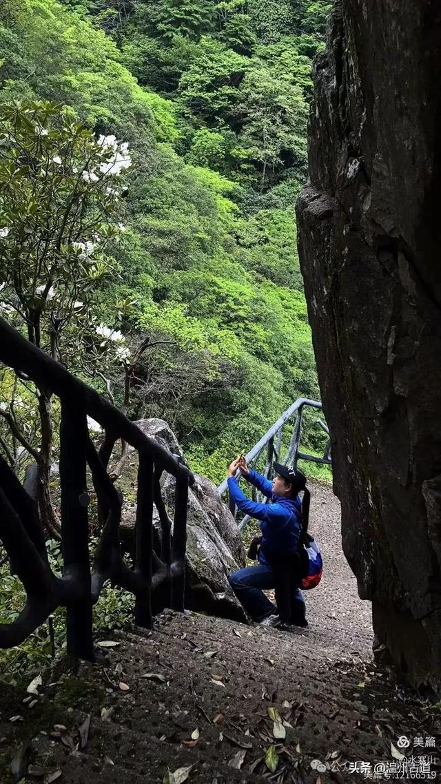 真正的小众避暑胜地！这方秘藏于千米高山之上的清凉秘境等你来！