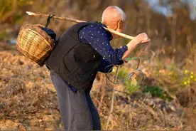 社会现状，可怜的不是农村人，城里人更可怜！图片