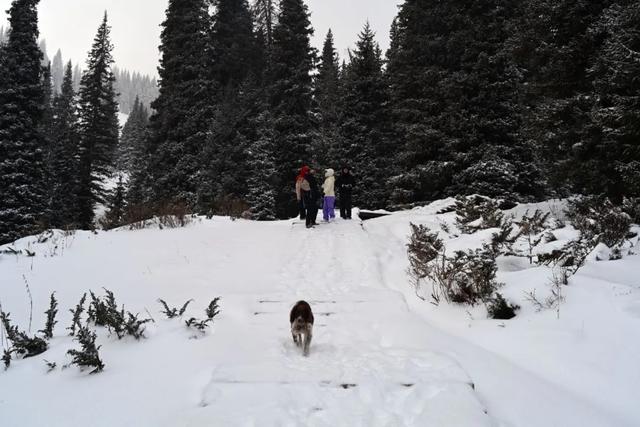 为了这道光，我做了一次疯狂的行动