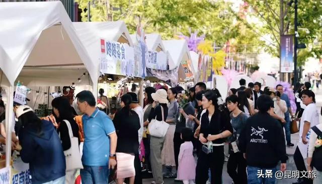 跟着滇超游昆明 | “鸥”然心动!打卡日记已备好,观鸥季精彩继续~