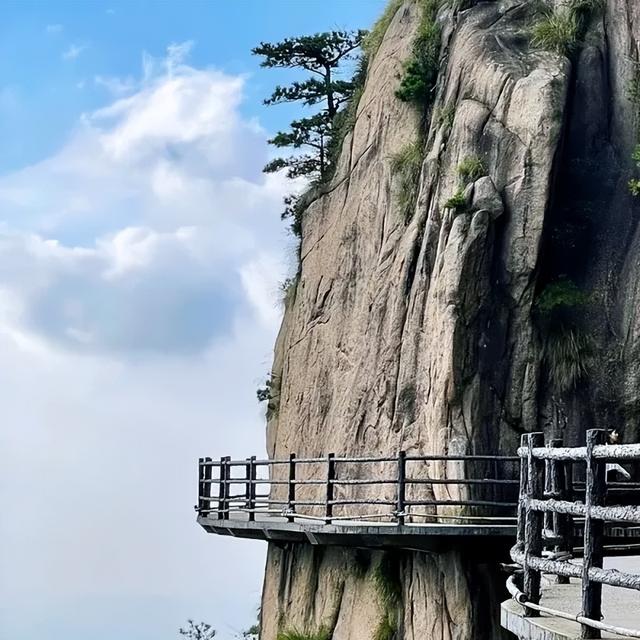 从夏到秋，九华山花台这条“天路”竟藏着皖南最清凉的诗