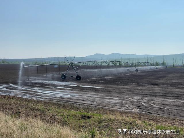 呼伦贝尔大草原不走寻常路，看最美的莫尔格勒河九曲十八弯