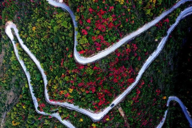 巫山：等到满山红叶时