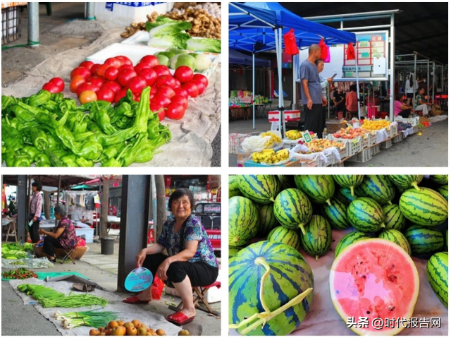 信阳市平桥区洋河镇：我的夏日记忆